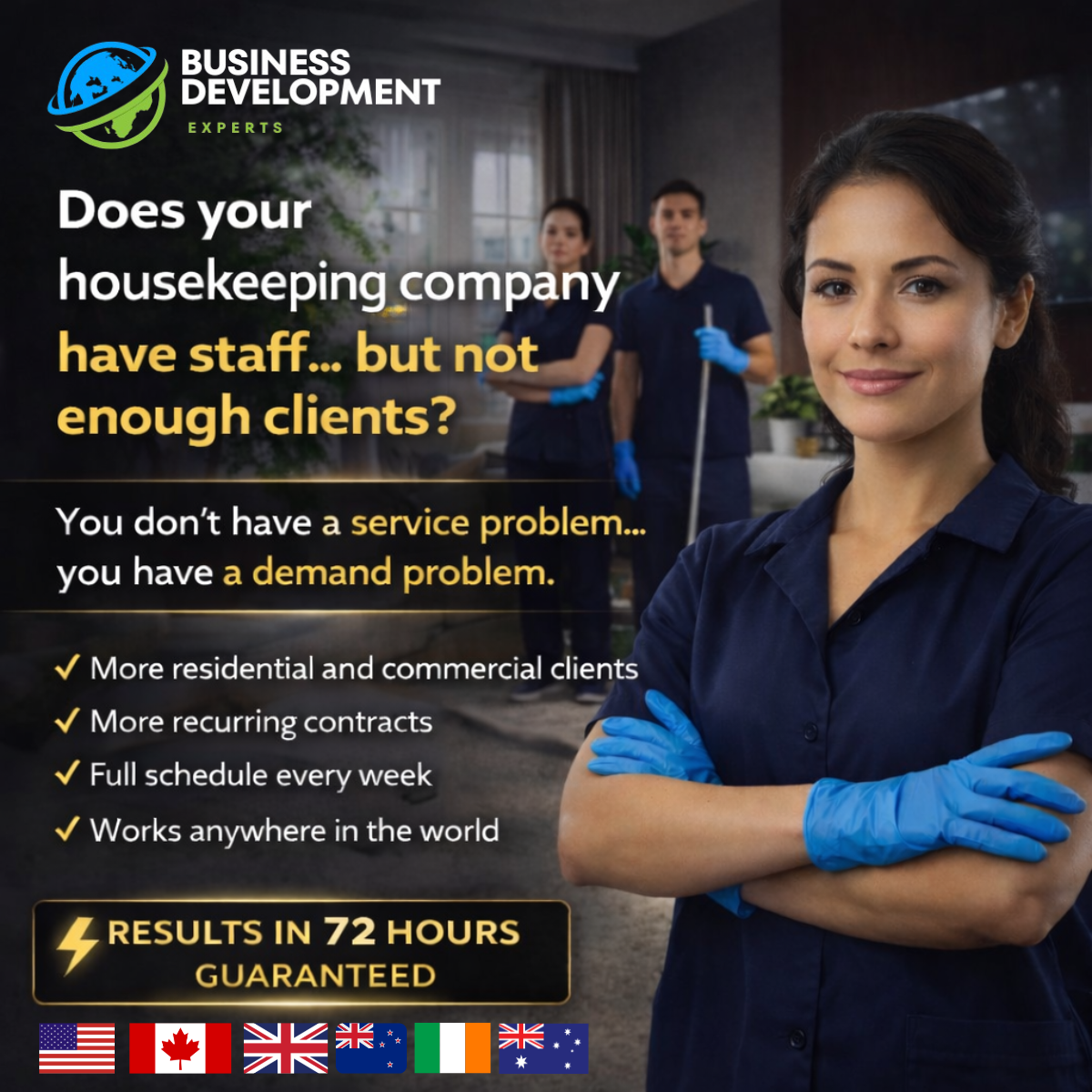 Client Generation System for Cleaning Services